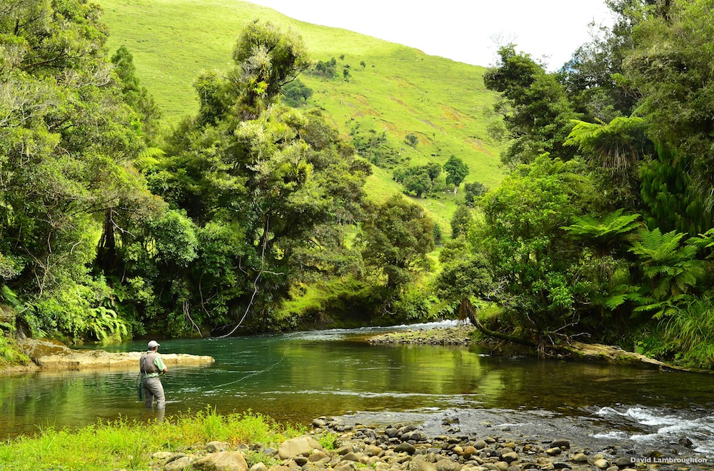 Luxury Fishing – New Zealand