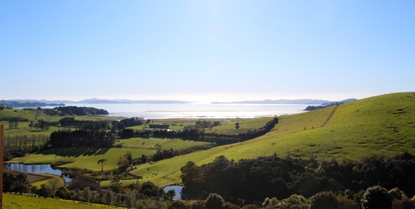 Why Kauri Bay Boomrock should be on your Auckland corporate venues short-list