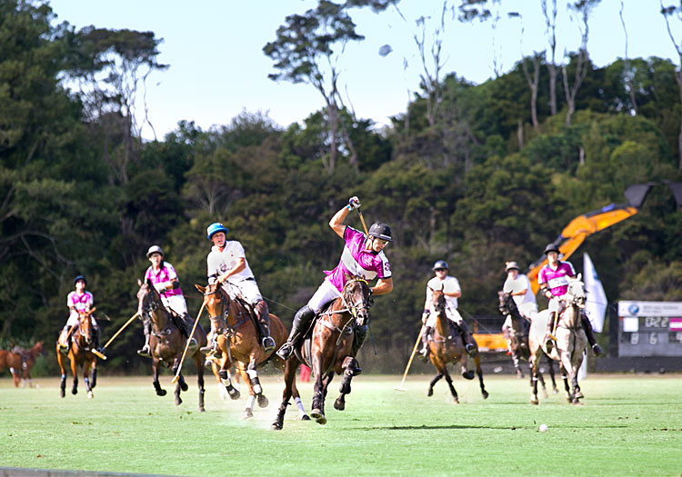 The Hottest Events of the New Zealand Polo Scene